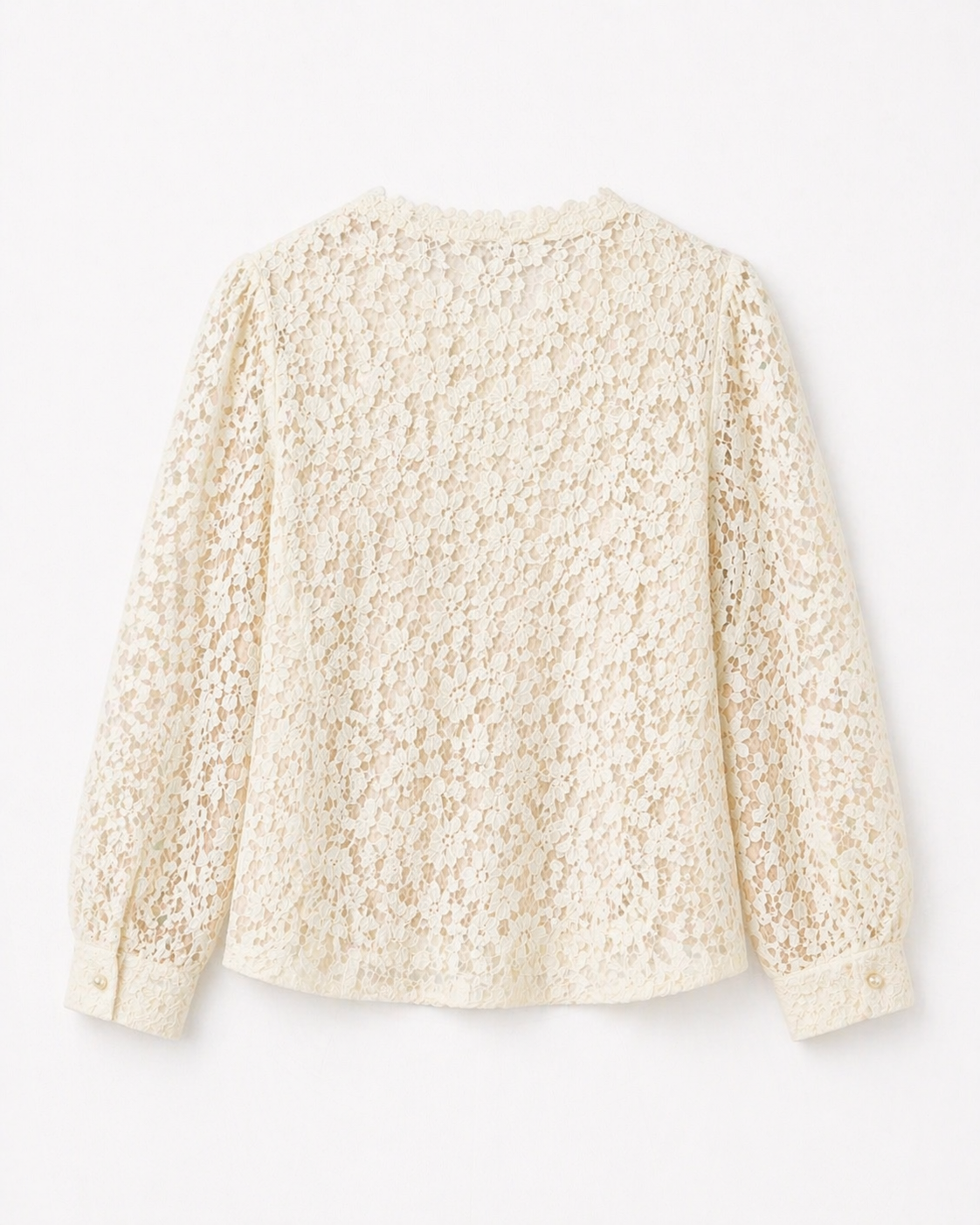 Blouse dentelle élégante – grande taille